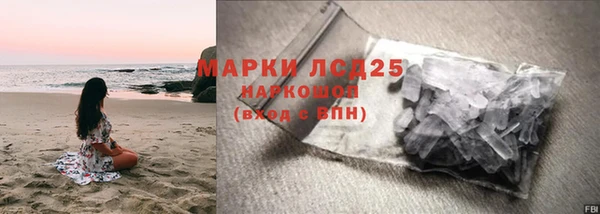 ГАЛЛЮЦИНОГЕННЫЕ ГРИБЫ Липки
