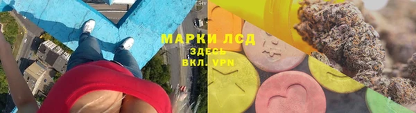 ГАЛЛЮЦИНОГЕННЫЕ ГРИБЫ Липки