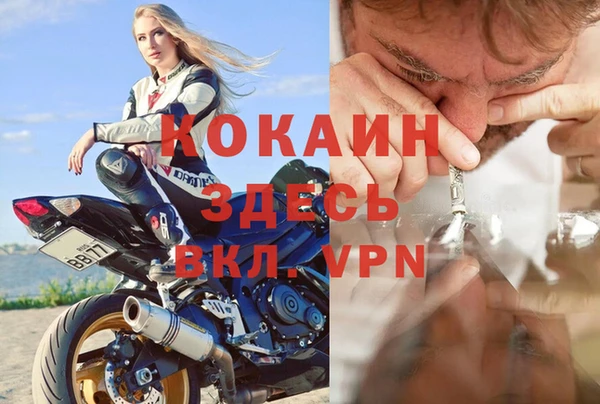 ГАЛЛЮЦИНОГЕННЫЕ ГРИБЫ Липки