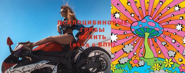 сатива Магадан