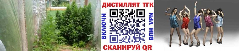 ТГК вейп Циолковский