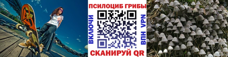 Галлюциногенные грибы мухоморы  Циолковский 